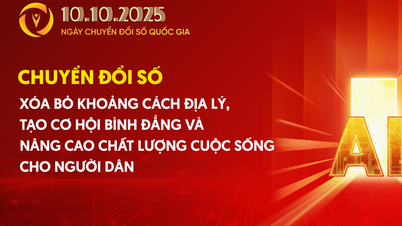 Zoete vruchten van de digitale transformatie-reis