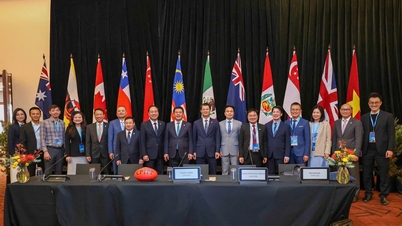 제9차 CPTPP 협정 이사회 회의에서는 많은 중요한 내용이 승인되었습니다.