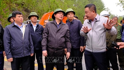 উপ-প্রধানমন্ত্রী হো কুওক ডাং বন্যার পর মানুষের সহায়তার জন্য লাম ডংকে দ্রুত ২০০ বিলিয়ন ভিয়েতনামি ডং বিতরণের নির্দেশ দিয়েছেন।