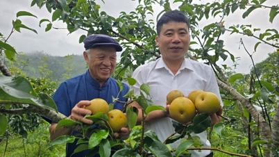 Le Tai Nung bringer velstand til grenseregionen