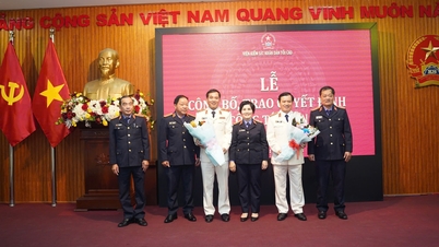 تعيين السيد نجوين تين هونغ رئيسًا للنيابة العامة في مدينة هوي