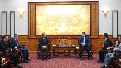 Nestleder i byens folkekomité, Nguyen Thanh Binh, mottok Laos generalkonsul i Da Nang