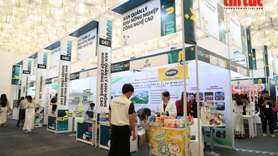 ກໍ່ສ້າງ​ນະຄອນ​ໂຮ່ຈິ​ມິນ​ໃຫ້​ກາຍ​ເປັນ​ສູນ​ກາງ​ປະດິດ​ສ້າງ​ສາກົນ: ​ໄປ​ຄຽງ​ຄູ່​ກັບ​ບັນດາ​ການ​ເລີ່​ມຕົ້ນ​ເພື່ອ​ກ້າວ​ເຂົ້າ​ສູ່​ລວງ​ເລິກ (ຕອນ​ທີ 1)