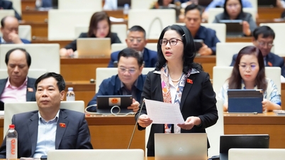 Det behövs en policy för att locka elever för att utveckla mänskliga resurser inom jordbrukssektorn.