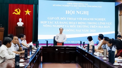 Sở Nông nghiệp và Môi trường đối thoại với doanh nghiệp, hợp tác xã