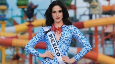 Tân Hoa hậu Hoàn vũ: Từ trẻ khó đọc đến mỹ nhân đẹp nhất hành tinh