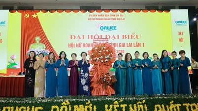 Bayan Dong Thi Anh, Gia Lai İl Kadın Girişimciler Derneği Başkanlığı görevini üstleniyor.