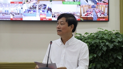 TP.HCM: Ưu tiên giới thiệu chuyên gia đầu ngành ứng cử đại biểu Quốc hội và HĐND
