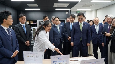 Символ співпраці В'єтнаму та Кореї в галузі науки і технологій, інновацій та цифрової трансформації