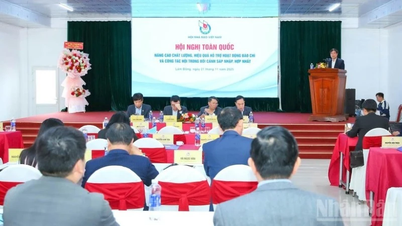 نظرة موضوعية وشاملة لأنشطة الصحافة في سياق عمليات الدمج والتوحيد