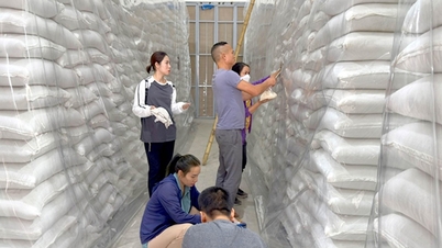 Dự trữ Nhà nước hoàn tất kế hoạch nhập kho 500.000 tấn lương thực năm 2025
