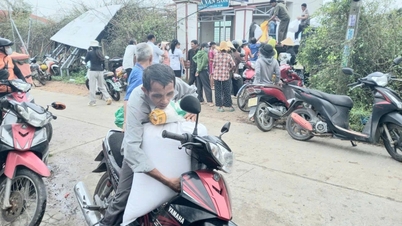 توفير 2000 طن من الأرز في حالات الطوارئ لدعم السكان في مقاطعة داك لاك