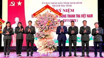 Ninh Binh straalt het imago uit van een eerlijke, standvastige en deskundige inspecteur.