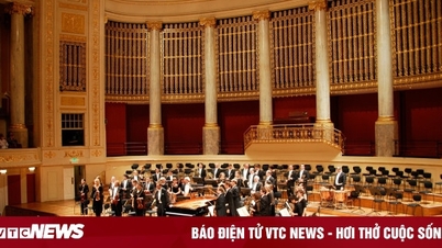 O Concerto de Viena 2025: Uma jornada para reencontrar a essência da sinfonia com o VPBank