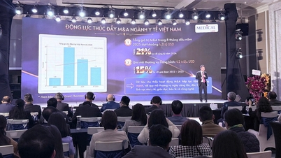 स्वास्थ्य सेवा उद्योग में विलय और अधिग्रहण (एम एंड ए) पर अंतर्राष्ट्रीय सम्मेलन 2025: स्वास्थ्य सेवा उद्योग में एम एंड ए गतिविधियों में कानूनी ढांचे को परिपूर्ण बनाना