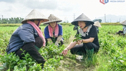 Att ge konsumenterna säkra jordbruksprodukter