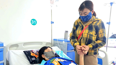 Listening to a friend, the female patient went to Cambodia to work on computers, but was in critical condition when she returned to Vietnam.