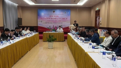 सभी स्तरों पर वृद्धजन संघ के सम्मेलन के आयोजन की योजना का क्रियान्वयन