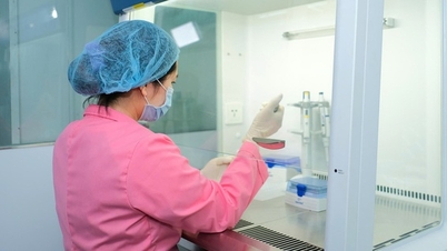 ការអភិវឌ្ឍទីផ្សារបច្ចេកវិទ្យា - កម្លាំងជំរុញដើម្បីបង្កើនការប្រកួតប្រជែងជាតិ