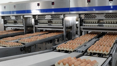 “บิ๊กไบค์” รายใหม่ในตลาดหลักทรัพย์: Hoa Phat Agriculture กำหนดราคา IPO แซงหน้ายักษ์ใหญ่ในอุตสาหกรรมเนื้อสัตว์หลายราย