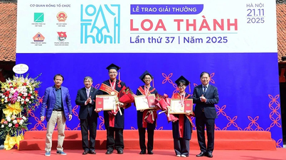 Tři projekty získaly první cenu na Loa Thanh Award 2025