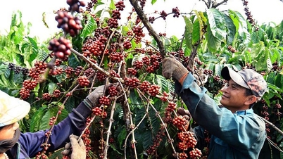 世界の商品価格は需要と供給に応じて大きく変動し続けています。