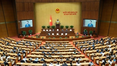 Luật Trí tuệ nhân tạo: Đặt con người ở trung tâm