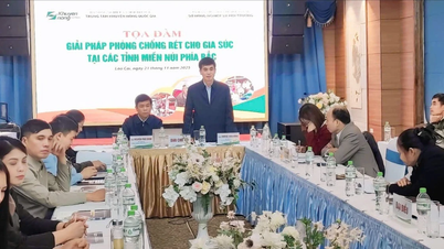 สัมมนาการป้องกันความหนาวเย็นสำหรับปศุสัตว์ในเขตจังหวัดภูเขาภาคเหนือ