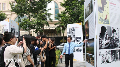 O experiență multisenzorială a frumuseții orașului Ho Și Min printr-o perspectivă cinematografică