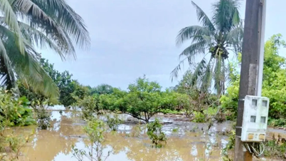 Η στάθμη του νερού του ποταμού Ντονγκ Νάι ανεβαίνει, πολλά μέρη κινδυνεύουν από πλημμύρες
