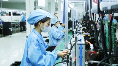 प्रसंस्करण और विनिर्माण उद्योग को बढ़ावा देना जारी रखें