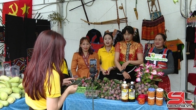 Apoiar empresas e cooperativas no desenvolvimento do comércio eletrônico.