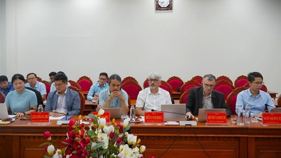 Vice Chairman of the Provincial People's Committee Le Van Su worked with the French Development Agency