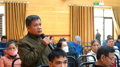 Die Bewohner der Gemeinde Tay Phuong fordern die Erteilung von Landnutzungsgenehmigungen, eine Baugenehmigung und Umweltschutzmaßnahmen.