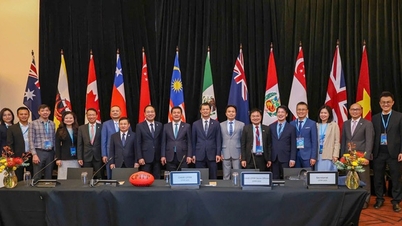 Vietnam proposes to establish CPTPP Support Unit