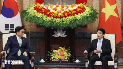 ប្រធានរដ្ឋ Luong Cuong ទទួលជួបជាមួយប្រធានរដ្ឋសភានៃសាធារណរដ្ឋកូរ៉េ Woo Won Shik