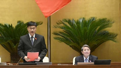 Đáp ứng kịp thời việc triển khai nhiệm vụ thống kê