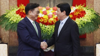 ប្រធានរដ្ឋ Luong Cuong ទទួលជួបជាមួយប្រធានរដ្ឋសភាកូរ៉េ