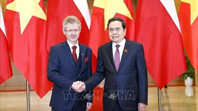 नेशनल असेंबली के चेयरमैन ट्रान थान मैन ने चेक गणराज्य के सीनेट के अध्यक्ष का स्वागत किया और उनके साथ बातचीत की।