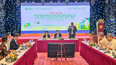 セミナー「メコンデルタにおける高品質・低排出型稲作モデル再現のためのソリューション」