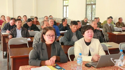 מתן מידע לאנשים יוקרתיים בקרב מיעוטים אתניים