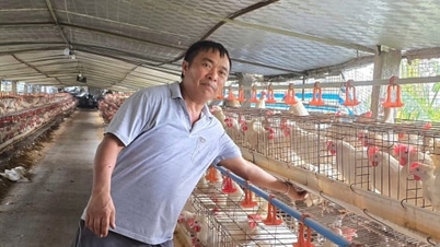 האי פונג מציינת תמיכה בגידול בעלי חיים בתגובה למגפות