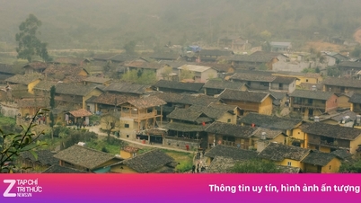 حقیقت در مورد احتکار اتاق و افزایش قیمت در بهترین دهکده توریستی جهان، لو لو چای