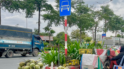 מחירי הקוקוס בהאנוי ירדו בחדות, כעת רק 7,000 דונג וייטנאמי לפרי.