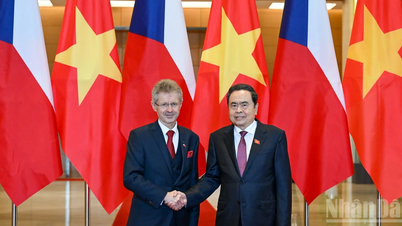[Foto] O presidente da Assembleia Nacional, Tran Thanh Man, conversa com o presidente do Senado da República Tcheca, Milos Vystrcil.