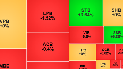Ngày 21-11: Thanh khoản chứng khoán “đóng băng”