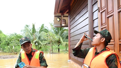 Tout pour la paix du peuple