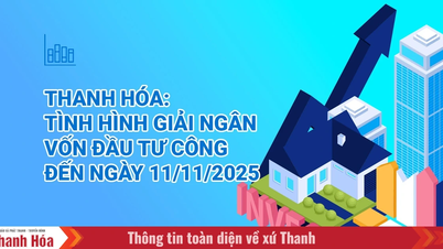 [इन्फोग्राफिक्स] 11 नवंबर, 2025 तक थान होआ प्रांत में सार्वजनिक निवेश पूंजी के वितरण की स्थिति