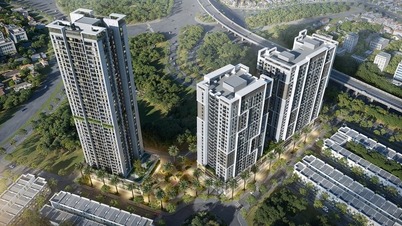 การอนุมัติโครงการปรับปรุงผังเมืองรายละเอียดระดับท้องถิ่น มาตราส่วน 1/500 ของเขตเมืองนามทังลอง ระยะที่ 2 บนที่ดินรหัส IA25 เขตฟู่เทิง