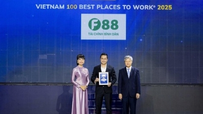 Az F88 Vietnam 100 legjobb munkahelye között van.